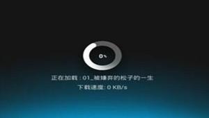 iOS10.2iPhone